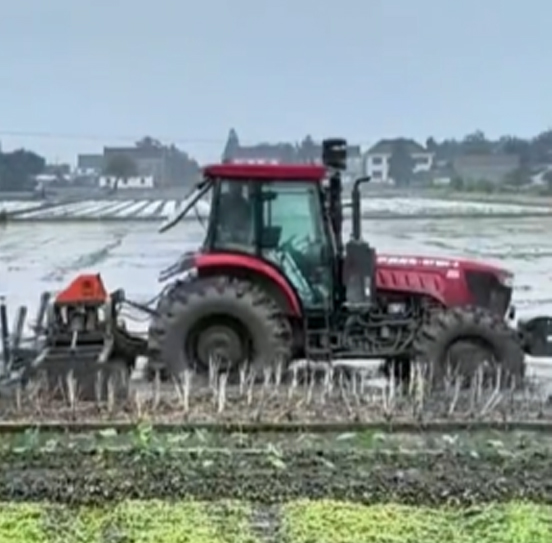 您負(fù)責(zé)統(tǒng)籌全局，它負(fù)責(zé)腳踏實地